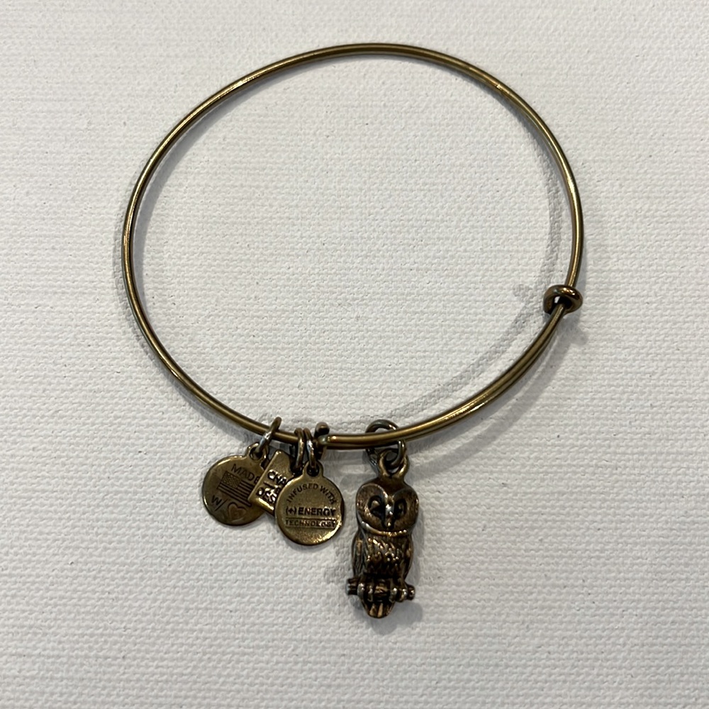 Alex and Ani, RARE Rafaellian gold owl, bracelet. fair condition-signs of wear.